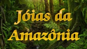brincos confeccionados por tribos da Amazônia